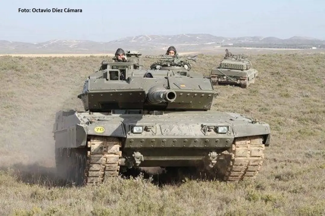 leopardo