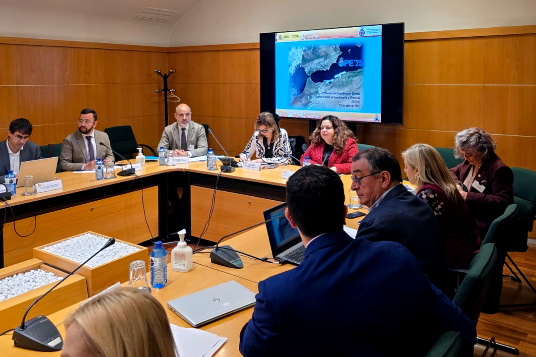 Reunión de coordinación de la Operación Paso del Estrecho