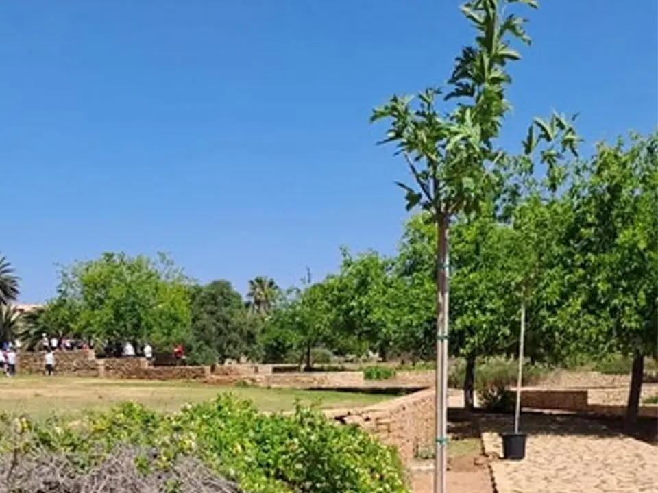 PARQUE FORESTAL JUAN CARLOS I REY