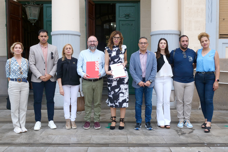 psoe propuesta gaza pleno