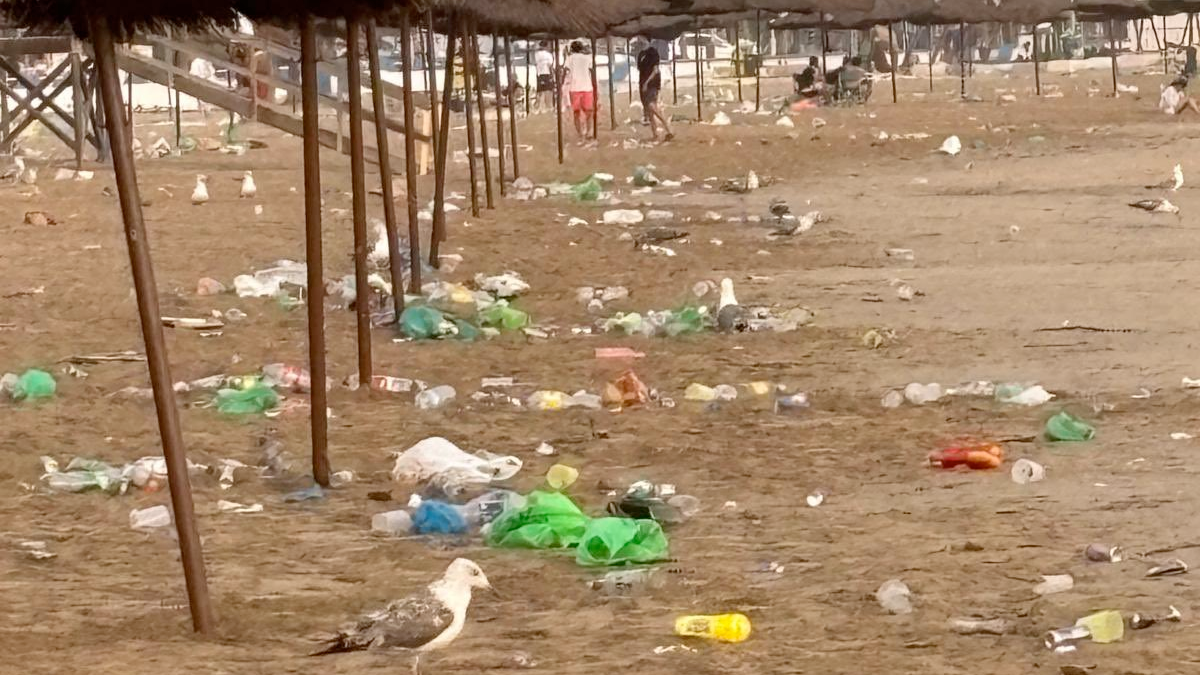 playa san juan 2025