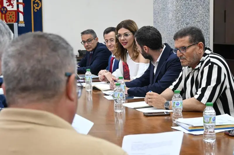 Sabrina Moh en el Grupo de Trabajo de Transportes / Delegaci&oacute;n