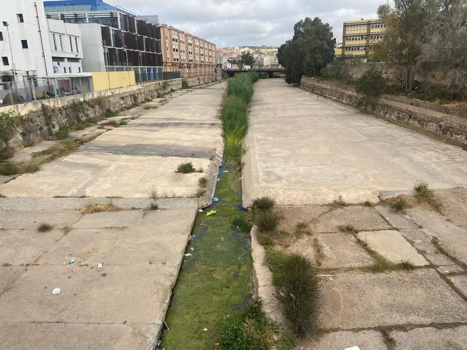 medio ambiente