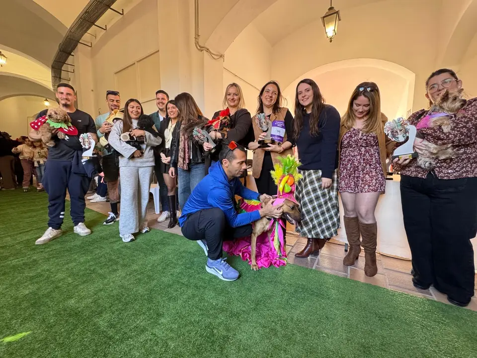 concurso de disfraces de mascotas
