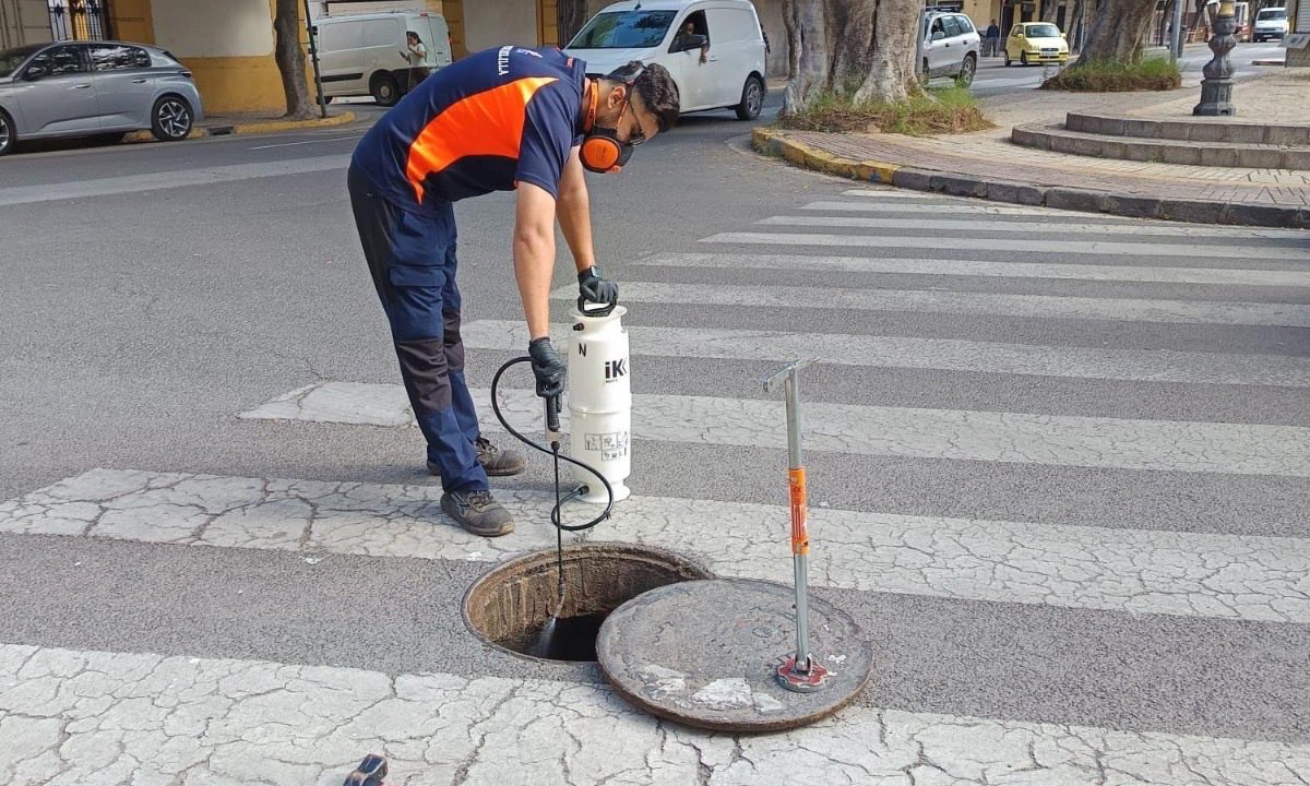 Desinsectaci&oacute;n en la zona centro de la ciudad