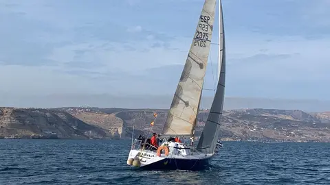 Vela