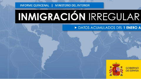 Informe quincenal sobre Inmigraci&oacute;n Irregular , enero de 2025 / Ministerio del Interior