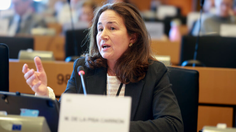 Margarita de la Pisa, eurodiputada de VOX, durante su intervenci&oacute;n en el Parlamento / VOX