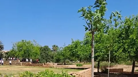 PARQUE FORESTAL JUAN CARLOS I REY