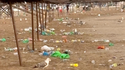 playa san juan 2025