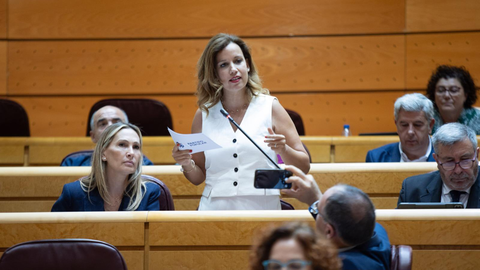Isabel Moreno durante una intervenci&oacute;n en el Senado / PP