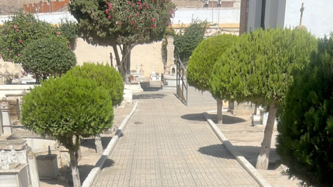 cementerio purisima