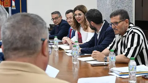 Sabrina Moh en el Grupo de Trabajo de Transportes / Delegaci&oacute;n
