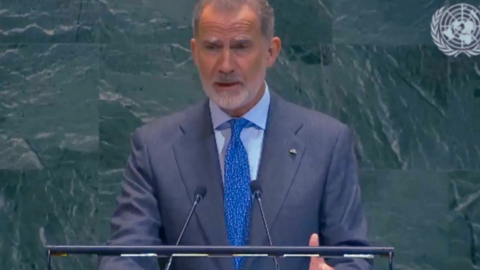 felipe vi onu2