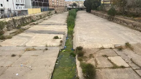 medio ambiente