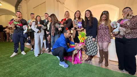 concurso de disfraces de mascotas