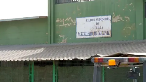 matadero melilla