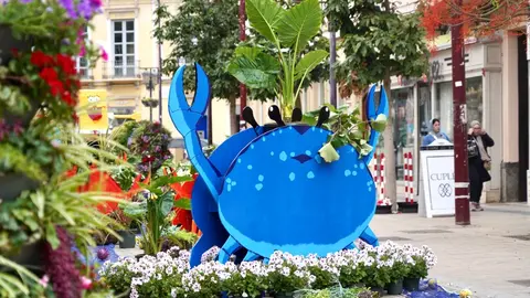 Melilla en flor