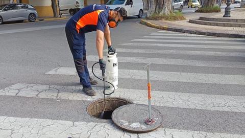 Desinsectaci&oacute;n en la zona centro de la ciudad