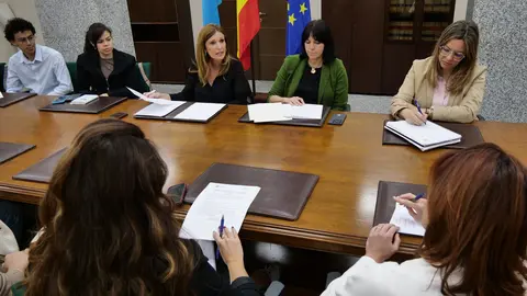 Mesa de coordinaci&oacute;n contra la violencia de g&eacute;nero / Delegaci&oacute;n