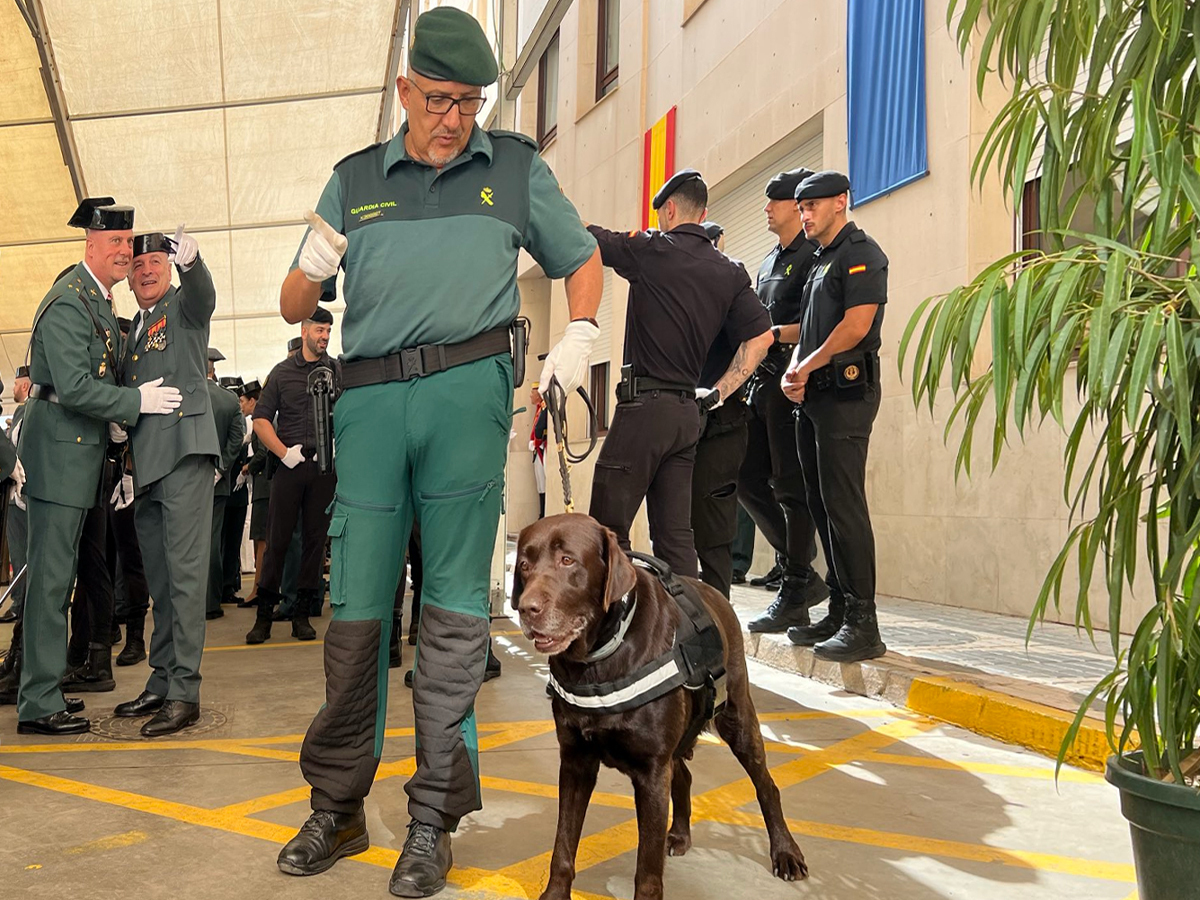 Homenaje Tara