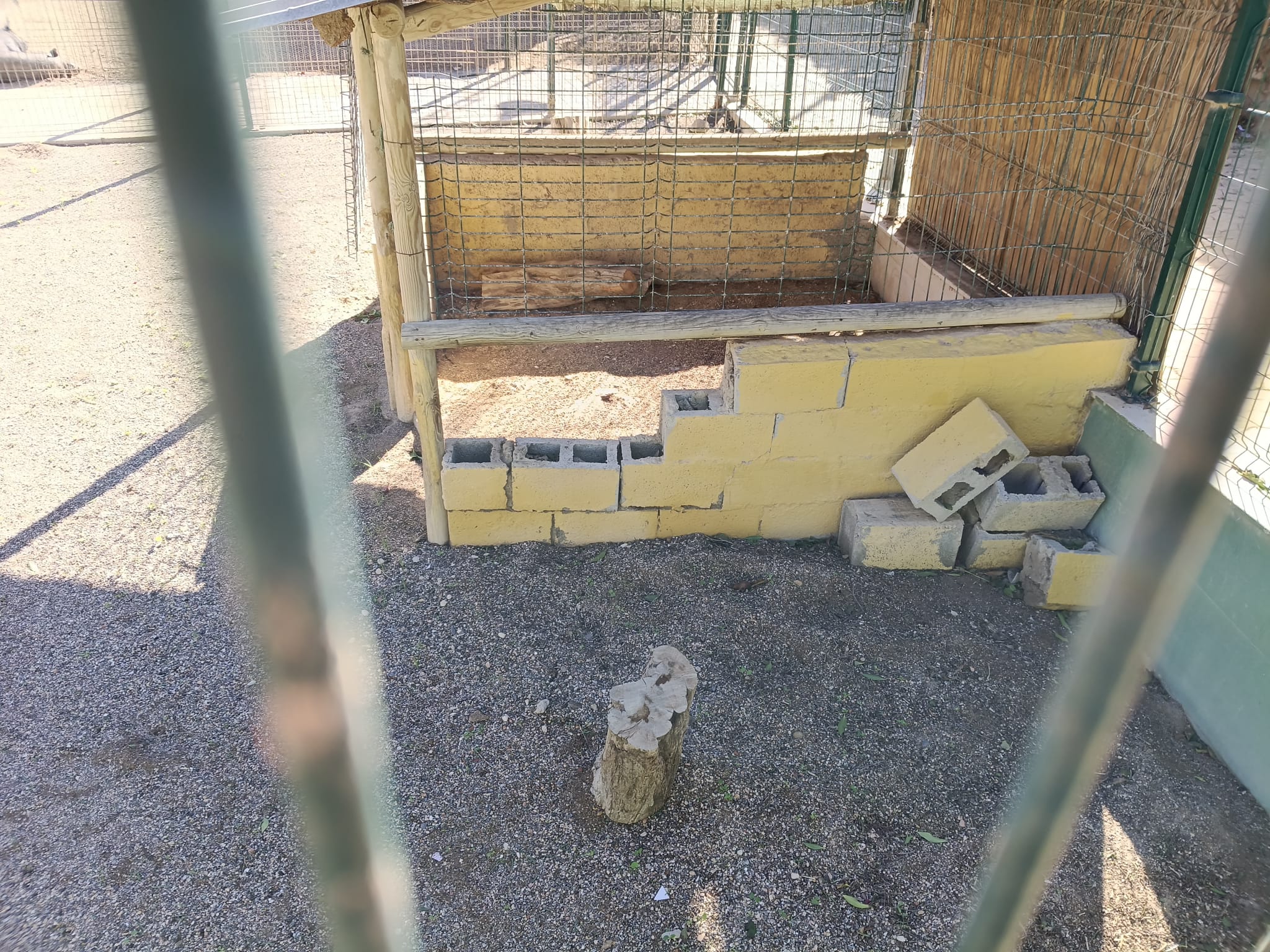 CpM pide recuperar la Granja Escuela ‘Gloria Fuertes’ ante su abandono en Melilla